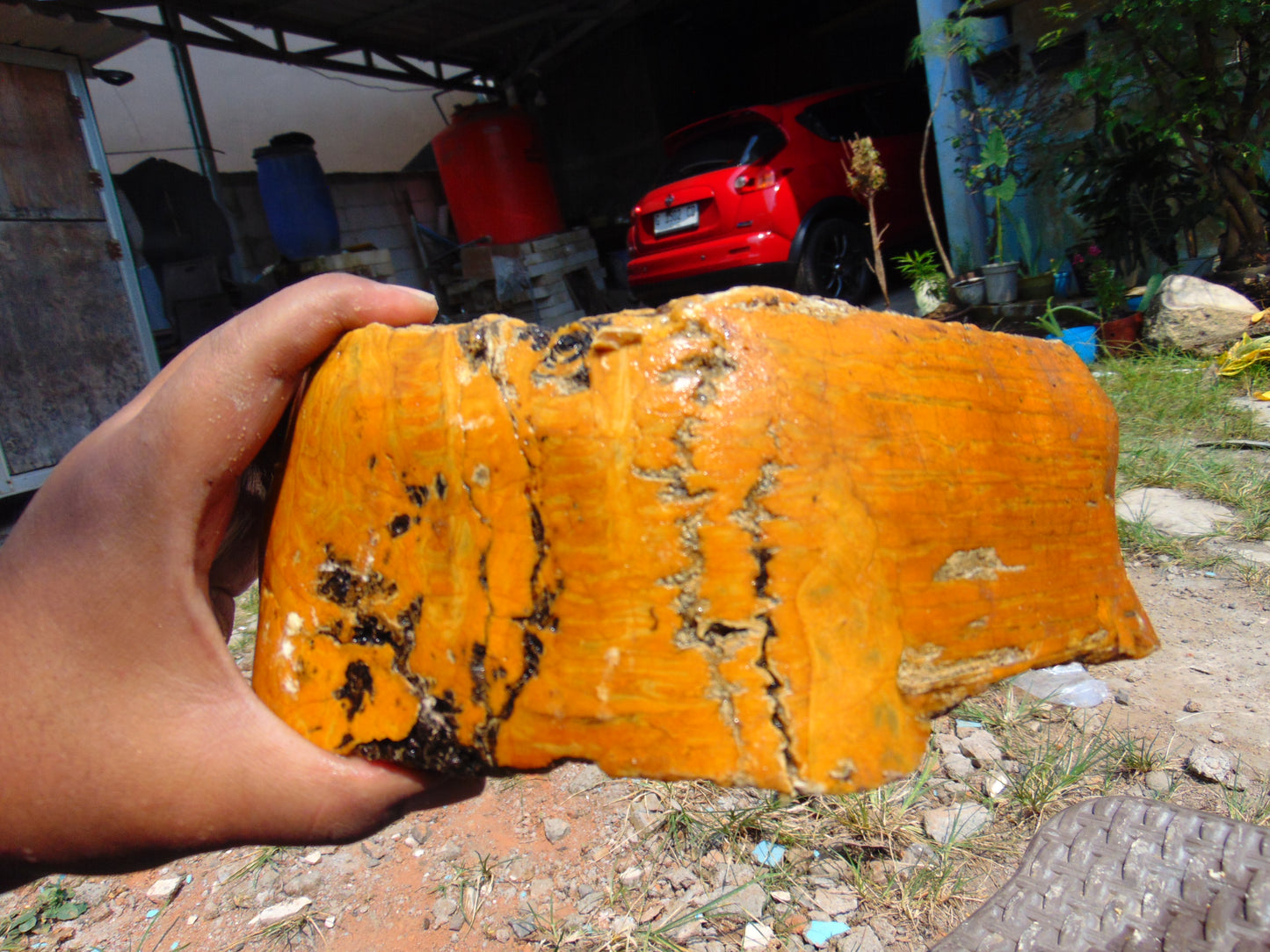 1376 gram Polished Indonesia Yellow Aromatic Amber for Healing AY26M113