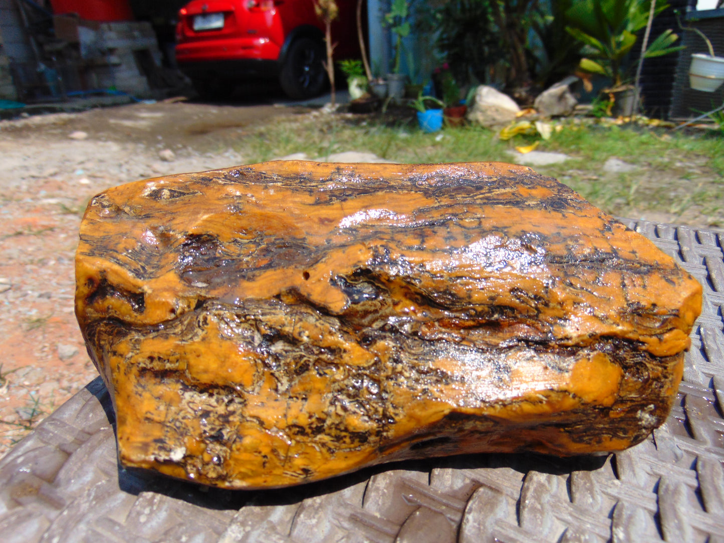 475 gram Polished Indonesia Yellow Aromatic Amber for Healing AY26M126