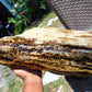5242 gram Indonesia Yellow Aromatic Perfumed Amber for Healing K829