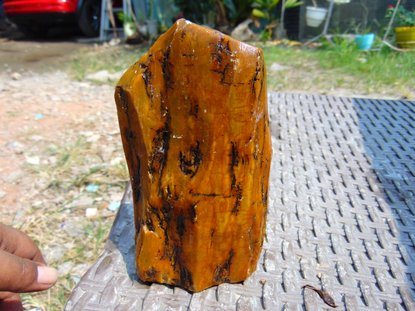 243 gram Polished Indonesia Yellow Aromatic Amber for Healing AY26M129