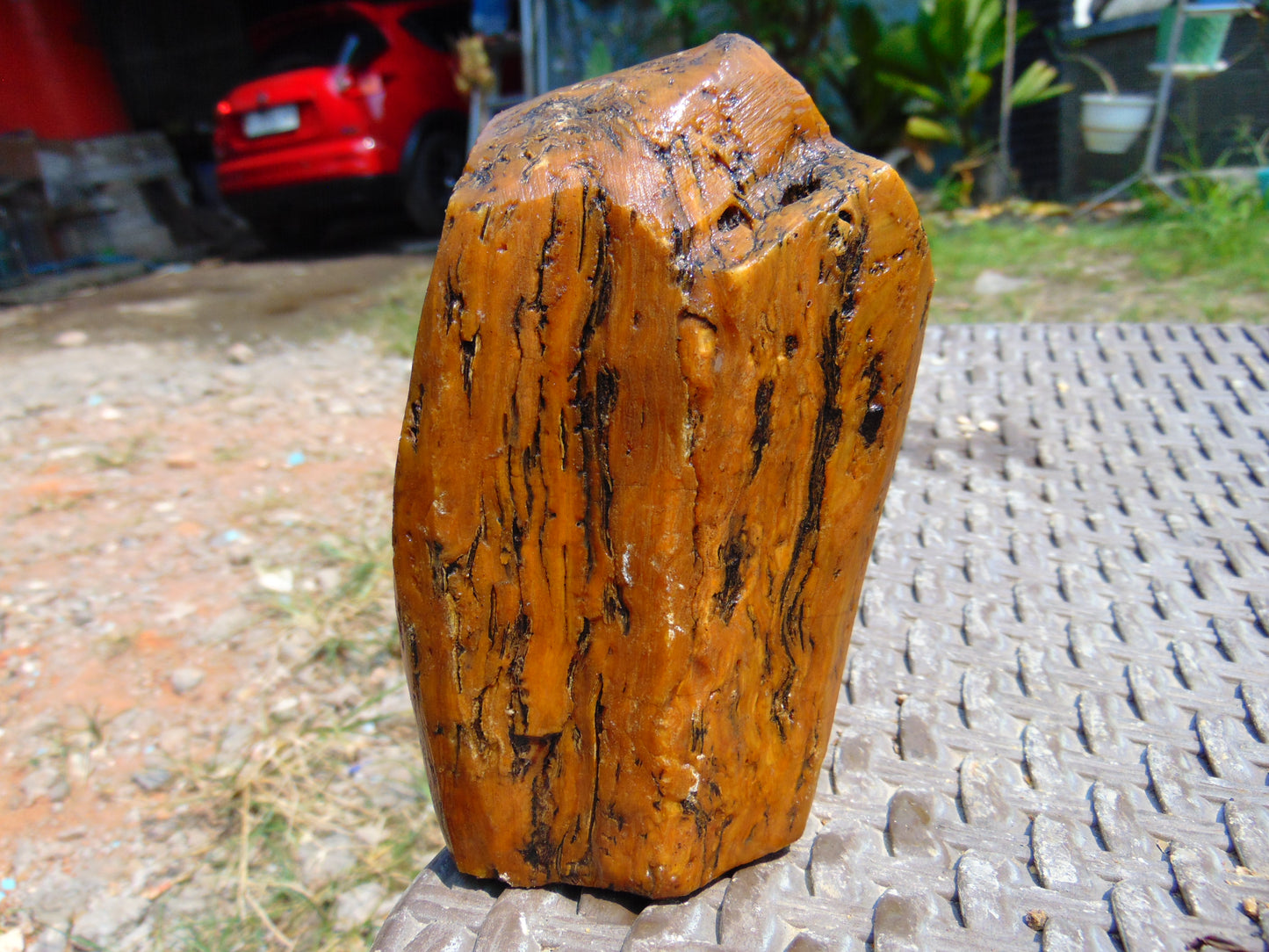 243 gram Polished Indonesia Yellow Aromatic Amber for Healing AY26M129