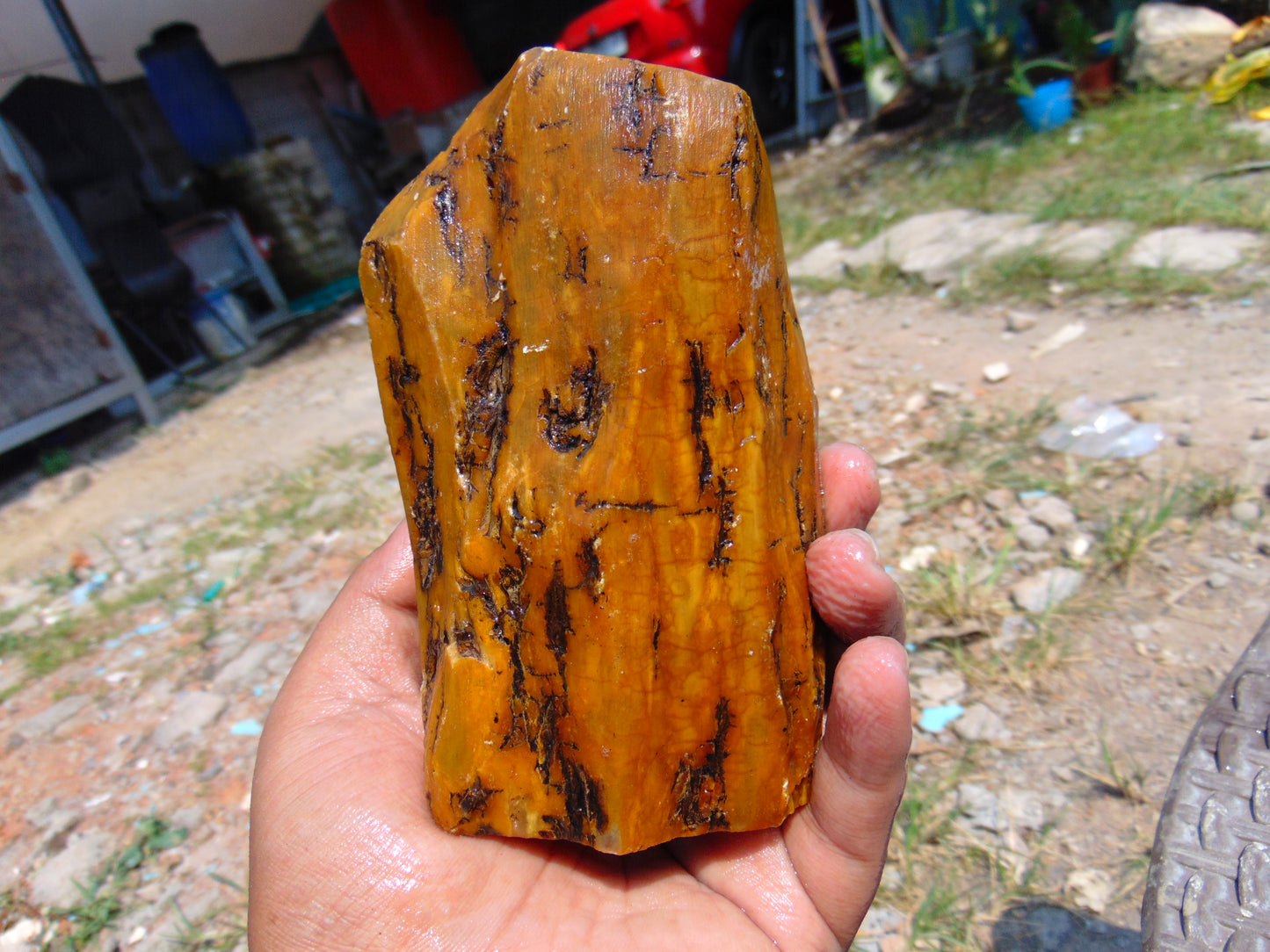 243 gram Polished Indonesia Yellow Aromatic Amber for Healing AY26M129