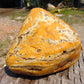 575 gram Polished Indonesia Yellow Aromatic Amber for Healing AY26M116