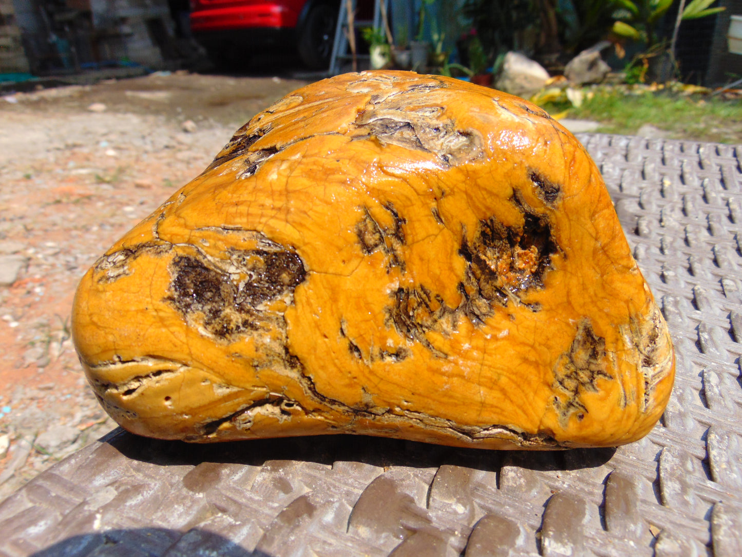 575 gram Polished Indonesia Yellow Aromatic Amber for Healing AY26M116