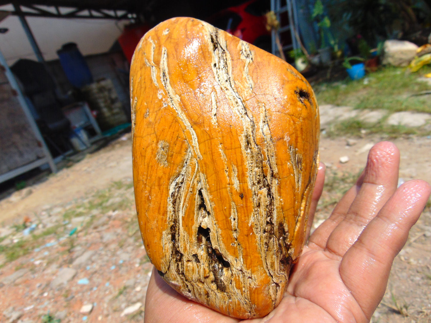 575 gram Polished Indonesia Yellow Aromatic Amber for Healing AY26M116