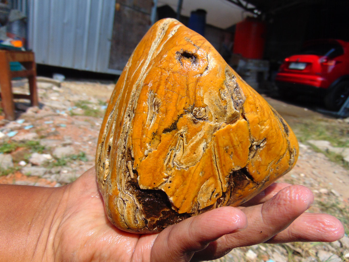 575 gram Polished Indonesia Yellow Aromatic Amber for Healing AY26M116