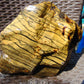 2985 gram Polished Indonesia Yellow Aromatic Zebra Amber for Healing AY26M165