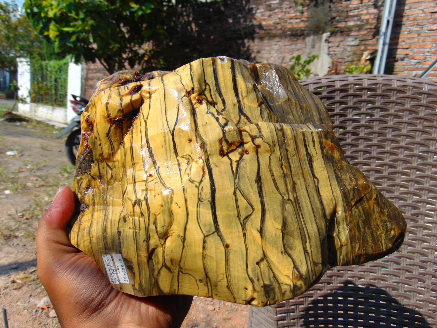 2985 gram Polished Indonesia Yellow Aromatic Zebra Amber for Healing AY26M165