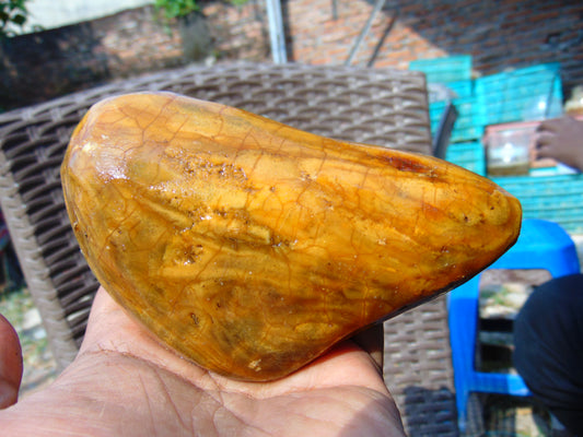 232 gram Polished Indonesia Yellow Aromatic Amber for Healing AY26M115
