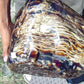 9808 gram Big Polished 290x270x220 mm Indonesia Zebra White Blue Amber for Healing ML58