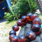 58 gram 12 Beads Mala Bracelet Indonesian Blue Amber 20 mm for Healing B20M15