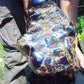 4670 gram Big Polished 310x210x140 mm Indonesia Dark Blue Amber for Healing EU03