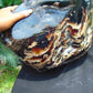 13570 gram Big Full Polished 39x25x23 cm Indonesia Blue Amber for Healing AR110