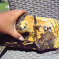 3500 gram Indonesia Black Yellow Aromatic Perfumed  Amber for Healing 26AYE82