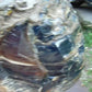 40 KG Big Indonesia Blue Amber for Collection Home Decoration