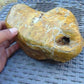 1075 gram Polished Indonesia Yellow Aromatic Amber for Healing 26AYE66