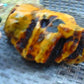 846 gram Polished Indonesia Yellow Aromatic Amber for Healing 26AYE42